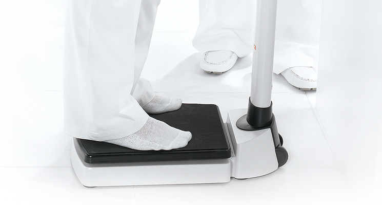 seca 704 r - Column scale with 300 kg capacity and RS-232 interface #3
